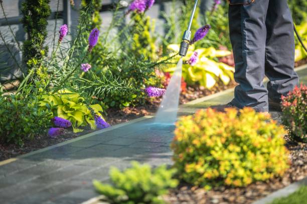 Best Roof Cleaning and Mildew Removal in Bagley, MN